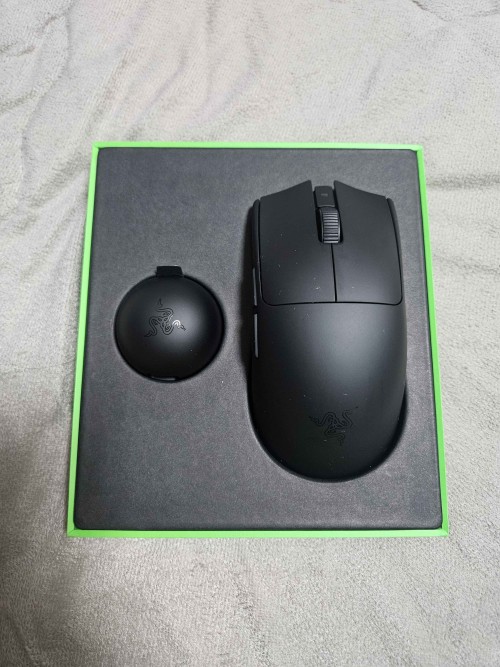 레이저 바이퍼 V4 PRO